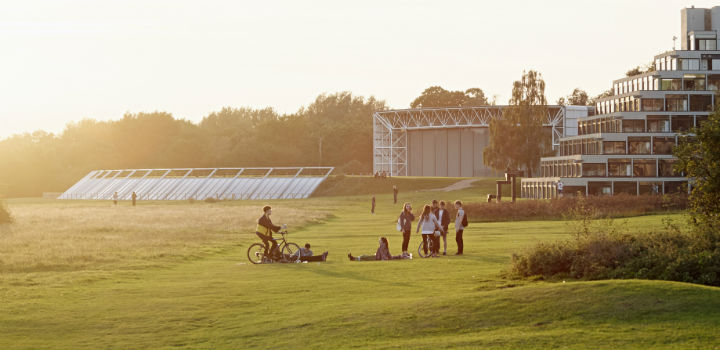 UEA campus